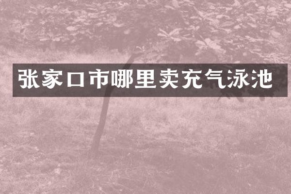 张家口市哪里卖充气泳池