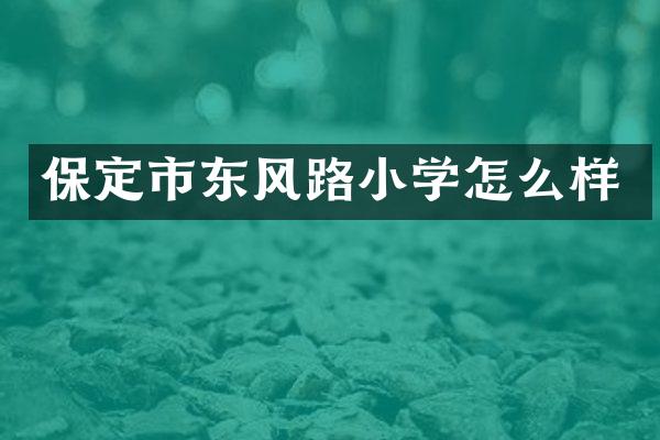 保定市东风路小学怎么样