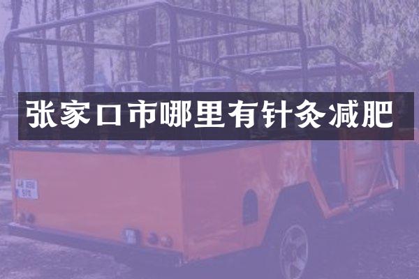 张家口市哪里有针灸减肥