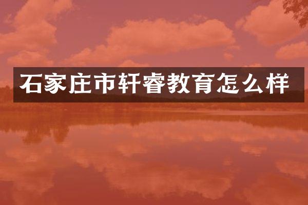 石家庄市轩睿教育怎么样