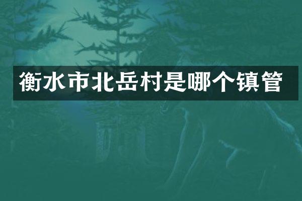 衡水市北岳村是哪个镇管