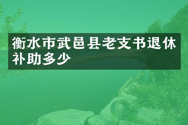 衡水市武邑县老支书退休补助多少