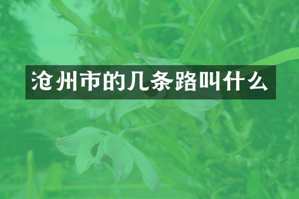 沧州市的几条路叫什么