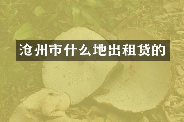 沧州市什么地出租货的