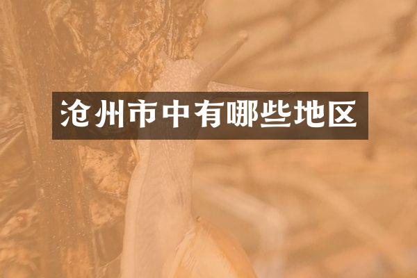 沧州市中有哪些地区