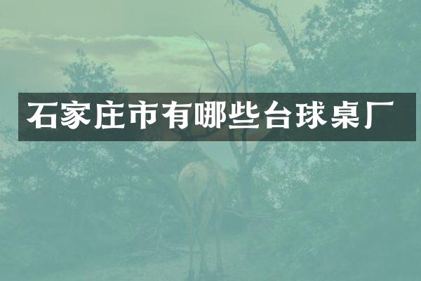 石家庄市有哪些台球桌厂