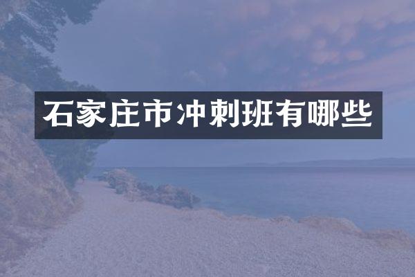 石家庄市冲刺班有哪些