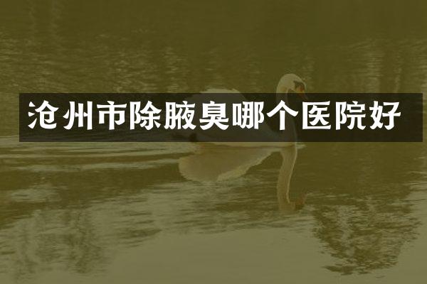 沧州市除腋臭哪个医院好
