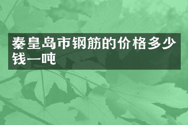秦皇岛市钢筋的价格多少钱一吨