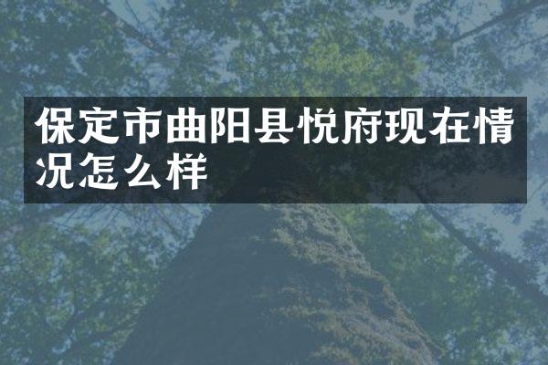 保定市曲阳县悦府现在情况怎么样