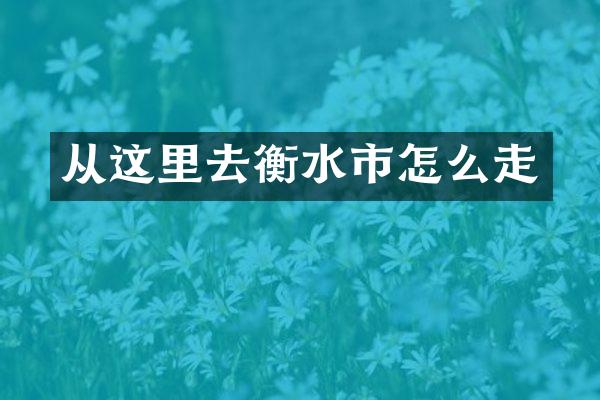 从这里去衡水市怎么走