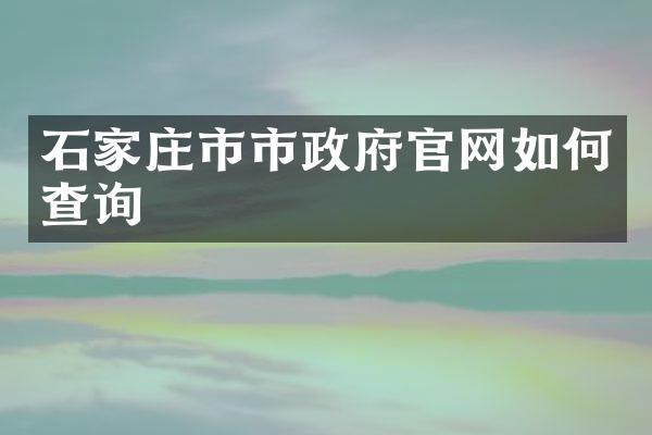 石家庄市市政府官网如何查询
