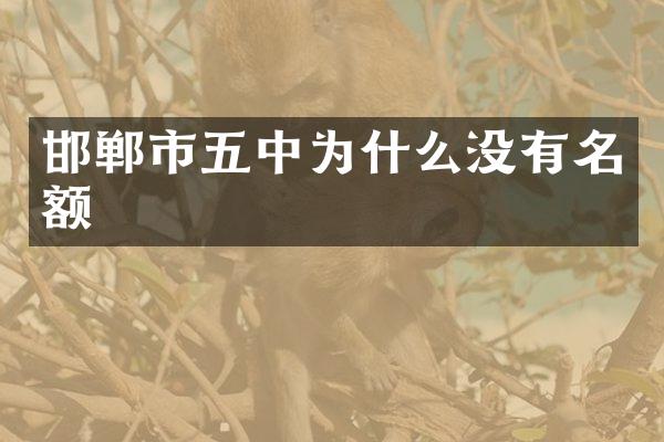 邯郸市五中为什么没有名额
