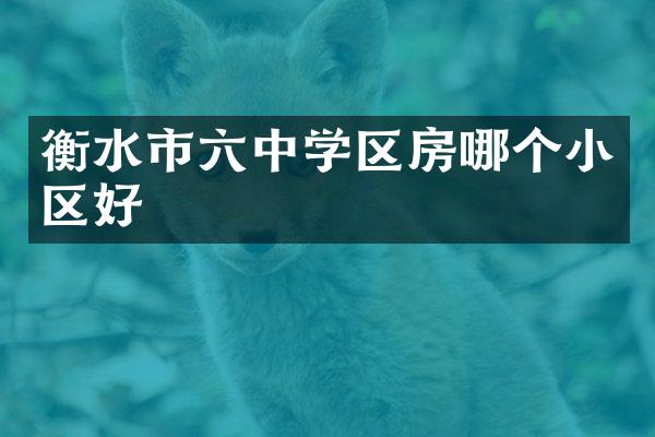 衡水市六中学区房哪个小区好