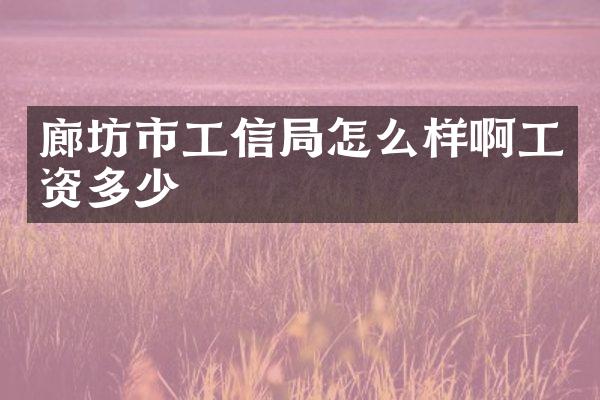廊坊市工信局怎么样啊工资多少