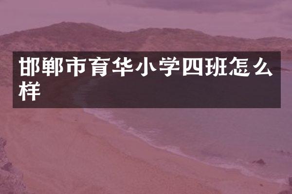 邯郸市育华小学四班怎么样