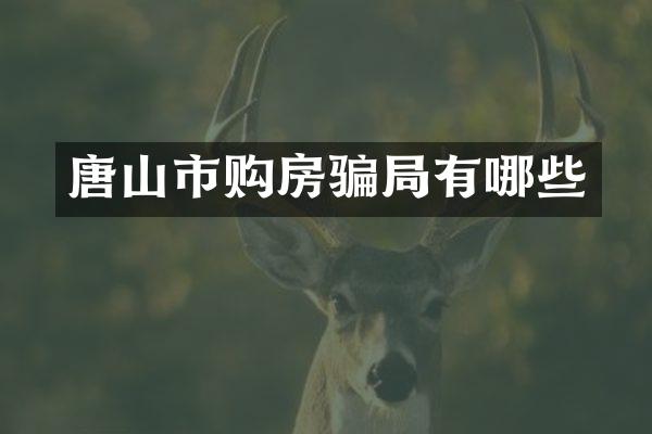 唐山市购房骗局有哪些