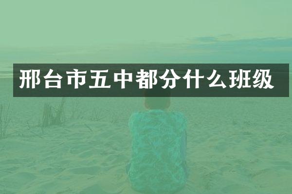 邢台市五中都分什么班级