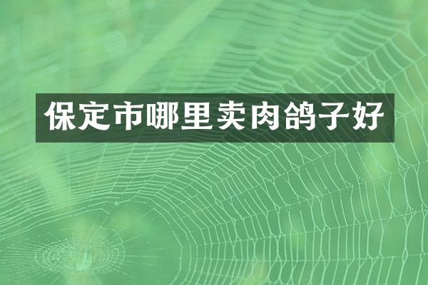 保定市哪里卖肉鸽子好