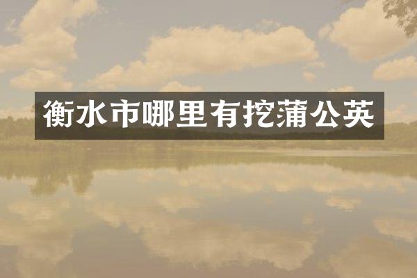 衡水市哪里有挖蒲公英