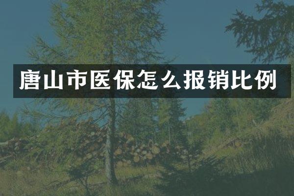 唐山市医保怎么报销比例