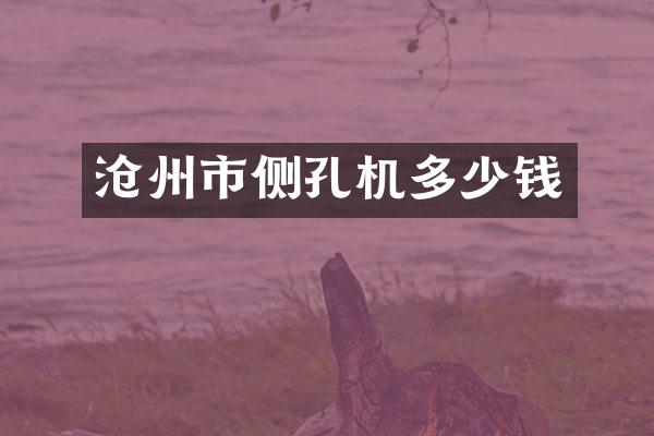 沧州市侧孔机多少钱