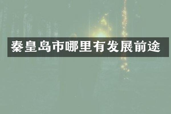 秦皇岛市哪里有发展前途