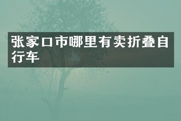 张家口市哪里有卖折叠自行车