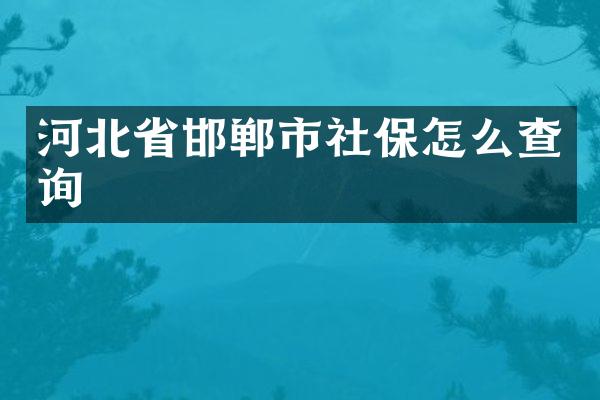 河北省邯郸市社保怎么查询