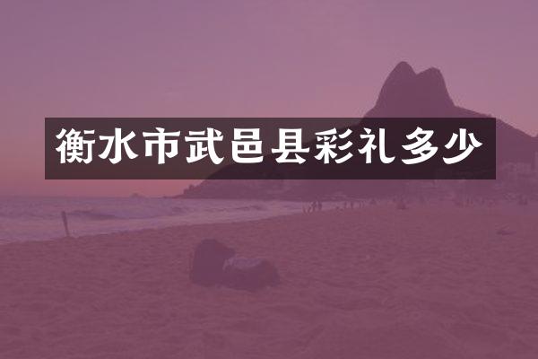 衡水市武邑县彩礼多少