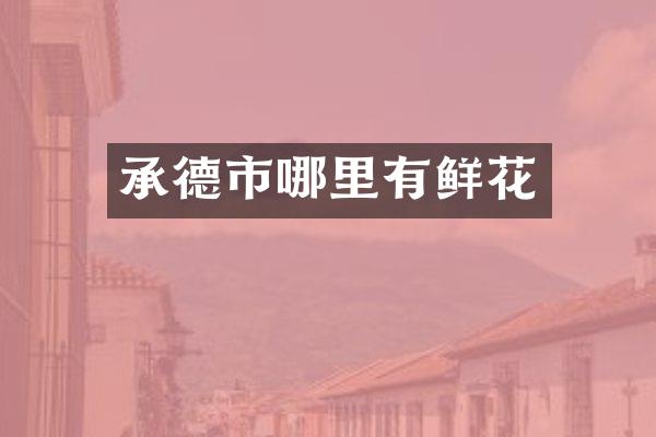 承德市哪里有鲜花