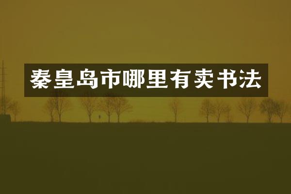 秦皇岛市哪里有卖书法