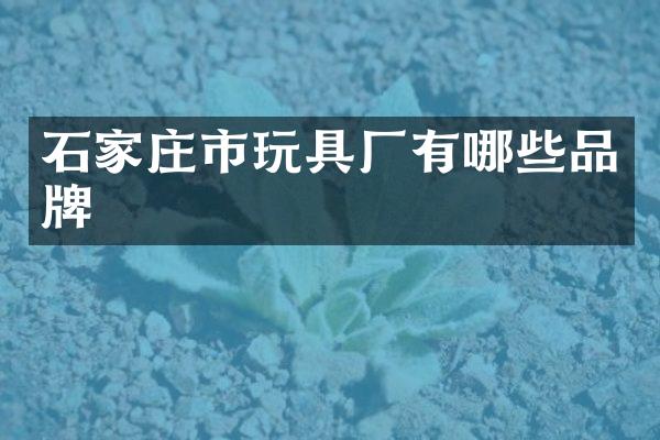 石家庄市玩具厂有哪些品牌