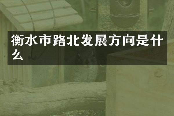 衡水市路北发展方向是什么
