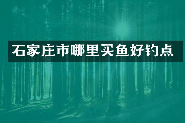 石家庄市哪里买鱼好钓点