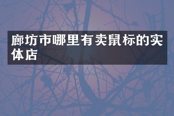 廊坊市哪里有卖鼠标的实体店