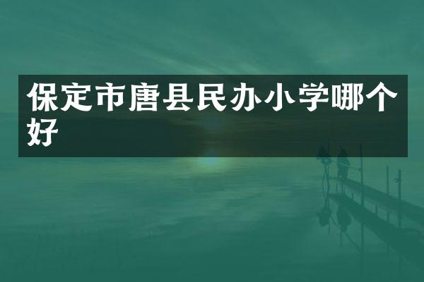 保定市唐县民办小学哪个好