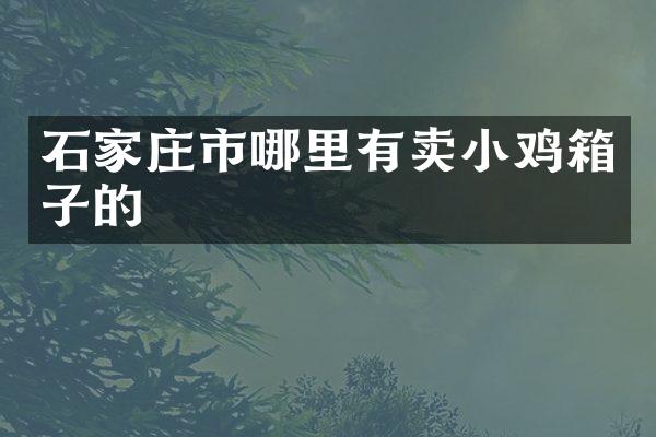 石家庄市哪里有卖小鸡箱子的
