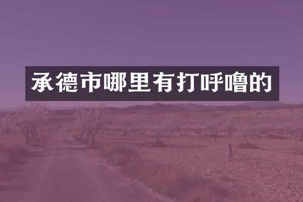 承德市哪里有打呼噜的