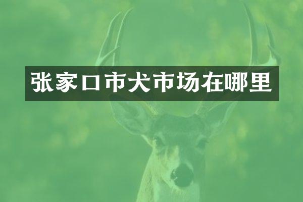 张家口市犬市场在哪里