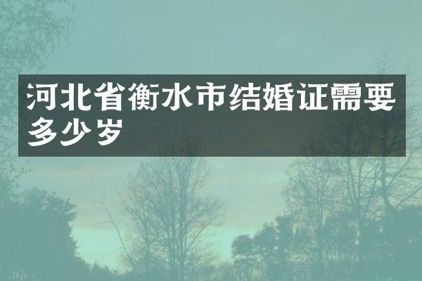 河北省衡水市结婚证需要