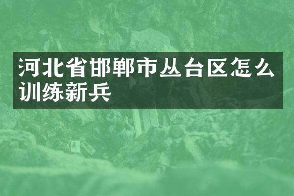 河北省邯郸市丛台区怎么训练新兵