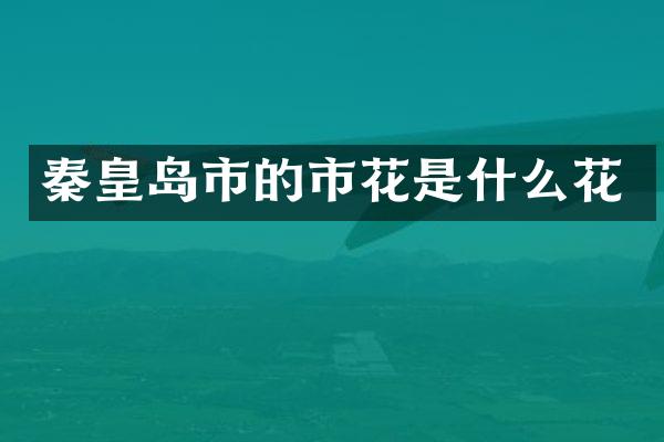 秦皇岛市的市花是什么花