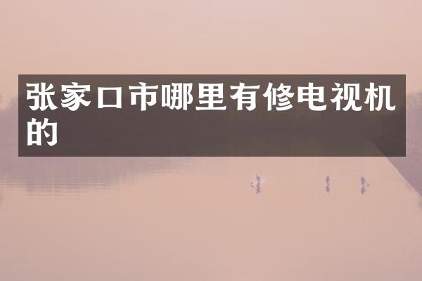张家口市哪里有修电视机的