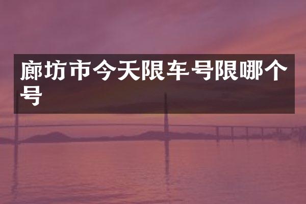 廊坊市今天限车号限哪个号