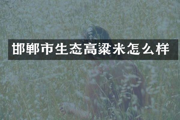 邯郸市生态高粱米怎么样