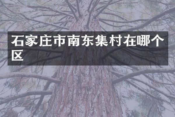 石家庄市南东集村在哪个区