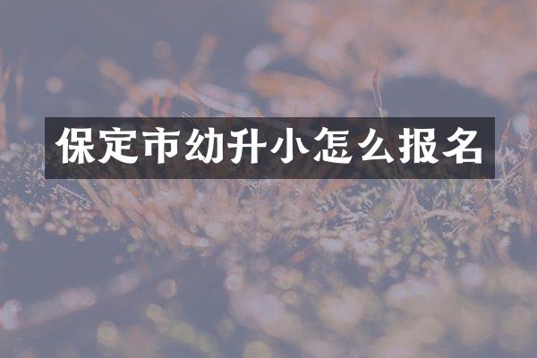 保定市幼升小怎么报名
