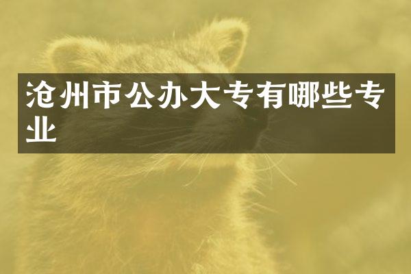 沧州市公办大专有哪些专业