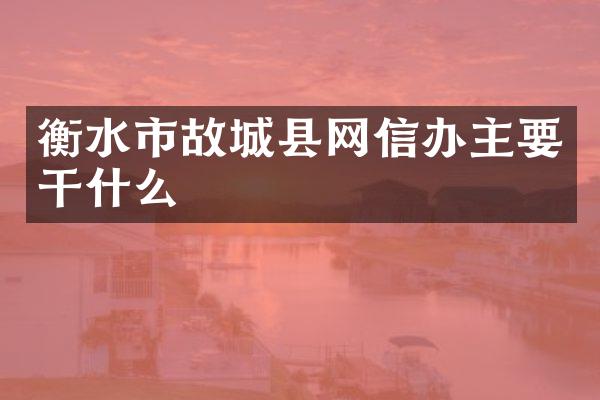 衡水市故城县网信办主要干什么